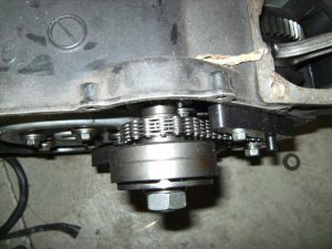 earlyzx-zl.jpg