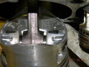 furchin 023.jpg
