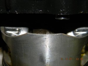 furchin 024.jpg