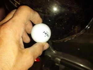 IMG_20120918_194520.jpg